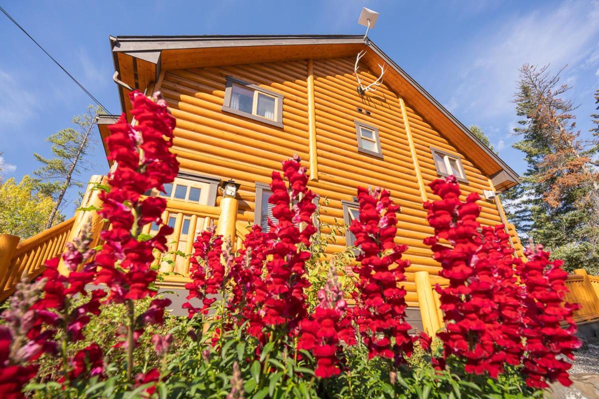 Castle Mountain Chalets Kültér fotó